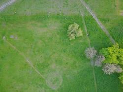 Nature from Above